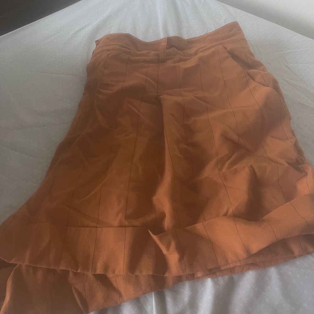 Danielle Bernstein size 24W women’s dress shorts